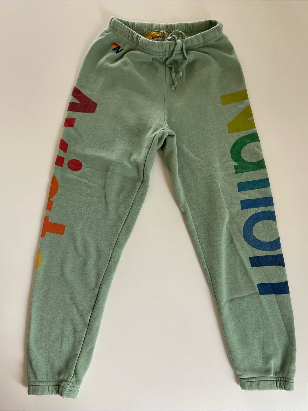 AVIATOR NATION SET Hoodie (Small) + Logo Sweats (XS) in Sage Green 🌈 - Picture 7 of 17